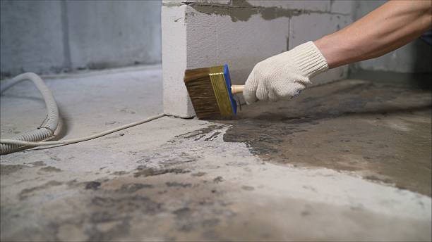 SJ Waterproofing Pros Waterproofing coverage map for Wadsworth, IL and surrounding area